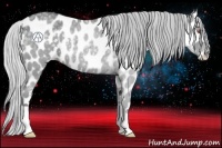 Horse Color:Silver Blue Chinchilla Roan Leopard 