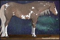 Horse Color:White Spotted Silver Black 