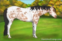 Horse Color:Bay Ice Tobiano Rabicano