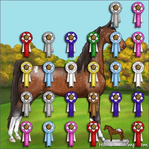 Horse Color:Buckskin Appaloosa