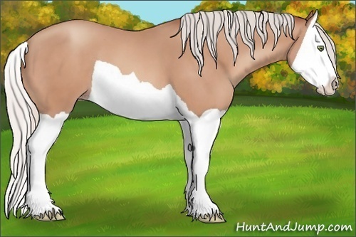 Horse Color:Silver Amber Champagne Splash