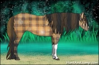 Horse Color:Plaid Bay