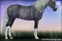 Horse Color:Watercolor Midnight Silver Brown Rabicano 