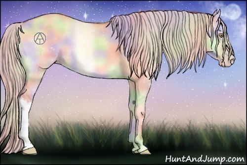 Horse Color:Nacre Silver Sable Champagne Onyx 