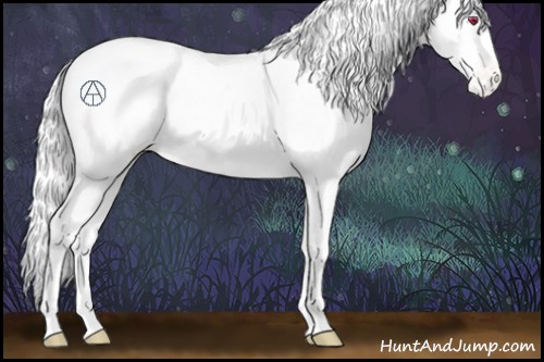 Horse Color:Chestnut Chinchilla Appaloosa Rabicano 