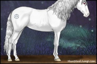 Horse Color:Chestnut Chinchilla Appaloosa Rabicano