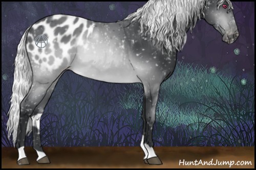 Horse Color:Silver Brown Chinchilla Appaloosa Rabicano 