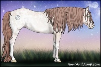 Horse Color:Watercolor Buckskin Ice Roan Pearl Onyx 