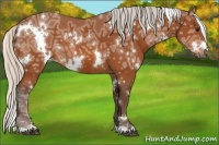 Horse Color:White Spotted Silver Bay Ice
