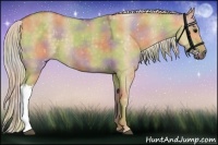 Horse Color:Nacre Silver Smoky Grullo 