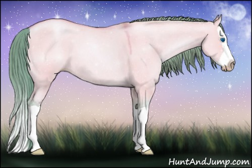 Horse Color:Gray Watercolor Buckskin Pearl Dun Splash