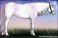 Horse Color:Watercolor White Spotted Perlino Dun 