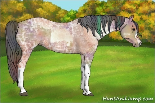 Horse Color:Watercolor Bay Ice Roan Onyx and Nacre Bay Ice Roan