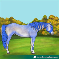 Horse Color:Watercolor Blue Onyx Roan 