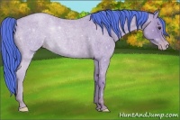 Horse Color:Watercolor Classic Champagne Roan 
