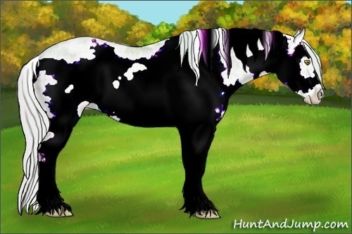 Horse Color:Watercolor White Spotted Silver Bay Ice Pearl Dun Frame Rabicano 