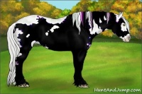 Horse Color:Watercolor White Spotted Silver Bay Ice Pearl Dun Frame Rabicano 