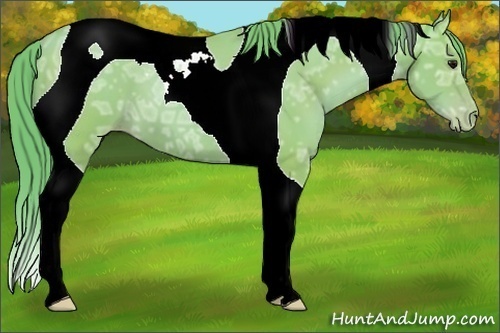 Horse Color:Watercolor Black Ice Pearl Tobiano 