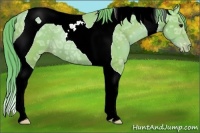 Horse Color:Watercolor Black Ice Pearl Tobiano 