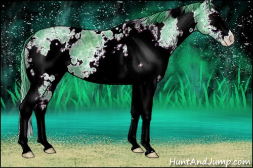 Horse Color:Watercolor White Spotted Black Ice 