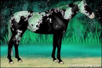 Horse Color:Watercolor White Spotted Black Ice 