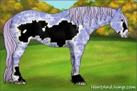 Horse Color:Watercolor Silver Black Ice Frame 