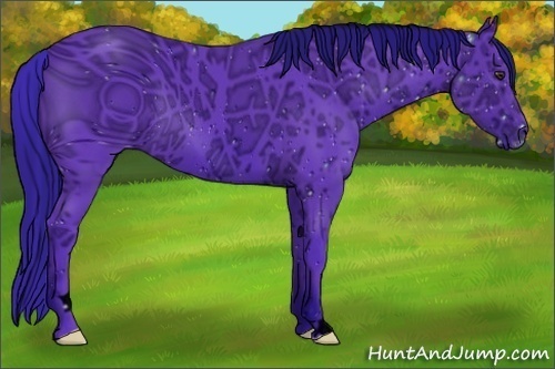 Horse Color:ERROR: UNKNOWN ANOMALY