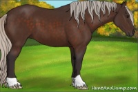 Horse Color:Silver Brown 