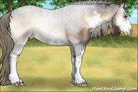 Horse Color:Liver Red Onyx Roan Sabino 