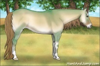 Horse Color:Watercolor Liver Red Dun Onyx 