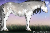 Horse Color:Blue Onyx Roan Sabino Splash