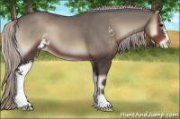 Horse Color:Silver Blue Onyx Sabino 