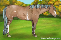 Horse Color:Gray Painted White Spotted Bay Ice Pearl 