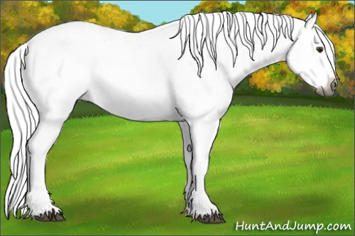 Horse Color:Gray Chestnut Splash Tobiano