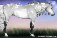 Horse Color:White Spotted Silver Bay Chinchilla 