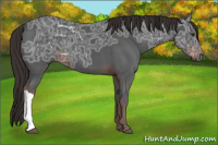 Horse Color:Gray Liver Chestnut Ice