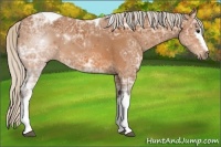 Horse Color:White Spotted Silver Bay Ice Tobiano Rabicano 
