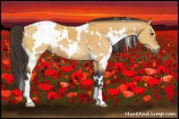 Horse Color:White Spotted Buckskin