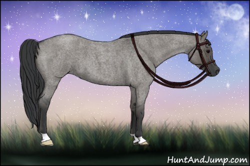 Horse Color:Grullo Roan 