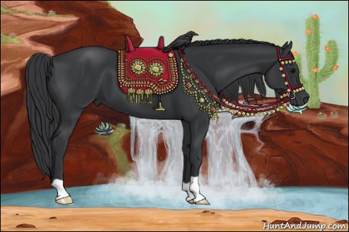 Horse Color:Black 