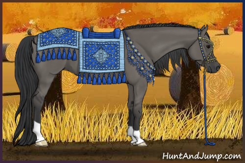 Horse Color:Grullo 