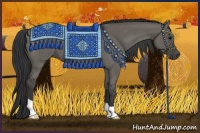 Horse Color:Grullo 
