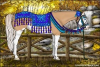 Horse Color:Silver Bay Dun Splash