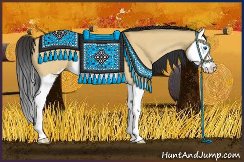 Horse Color:Bay Roan Dun Splash