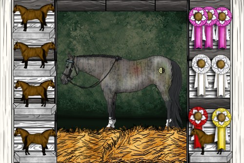 Horse Color:Black and Grullo