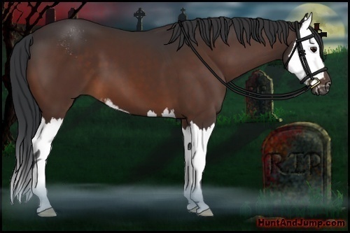 Horse Color:Brown Sabino Splash