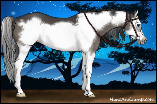 Horse Color:Brown Dun Splash Frame