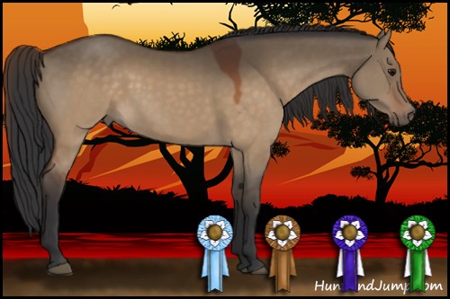 Horse Color:Brown Dun 