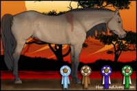 Horse Color:Brown Dun 