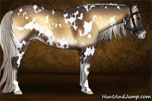 Horse Color:White Spotted Silver Brown Onyx 